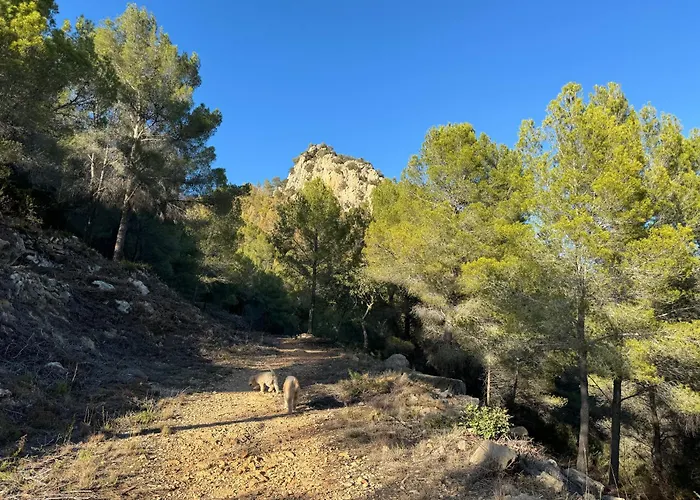 Ibiza Dream Denia, Seaview, Pool, Bbq, Airco, Wifi Vila